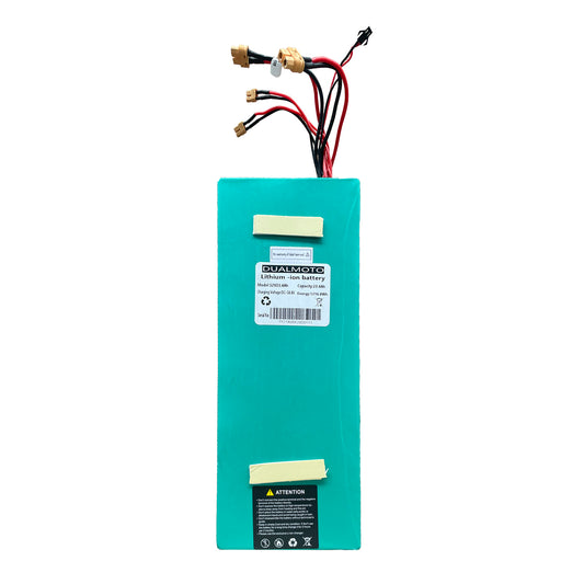 Batterie de remplacement D4+