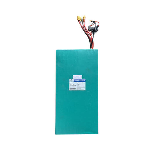LS7+ 60V40A Replacement Battery - NANROBOT